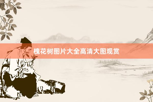槐花树图片大全高清大图观赏