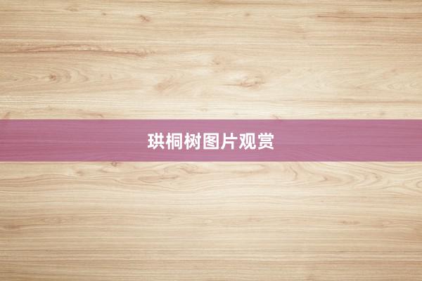 珙桐树图片观赏