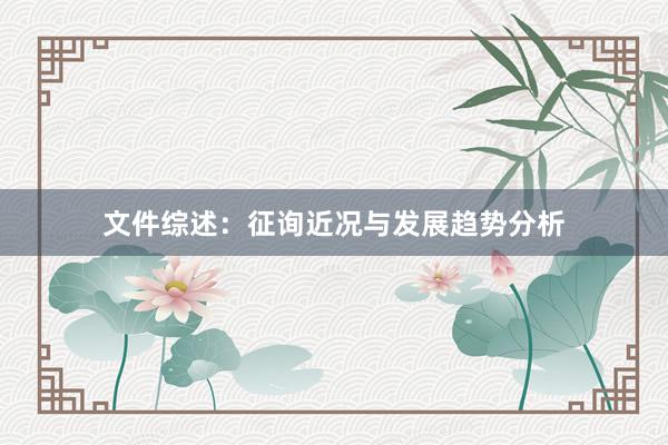 文件综述：征询近况与发展趋势分析