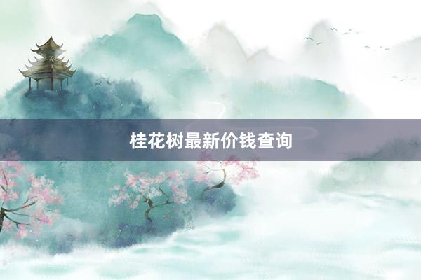 桂花树最新价钱查询