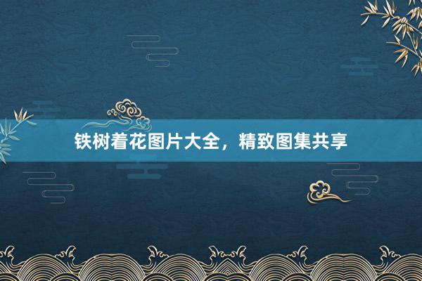 铁树着花图片大全，精致图集共享