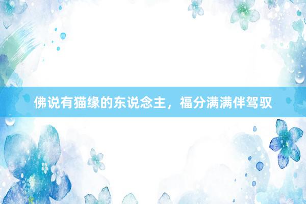 佛说有猫缘的东说念主,福分满满伴驾驭