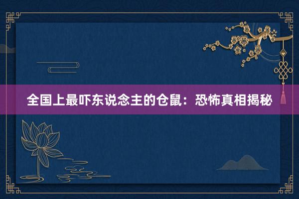 全国上最吓东说念主的仓鼠：恐怖真相揭秘