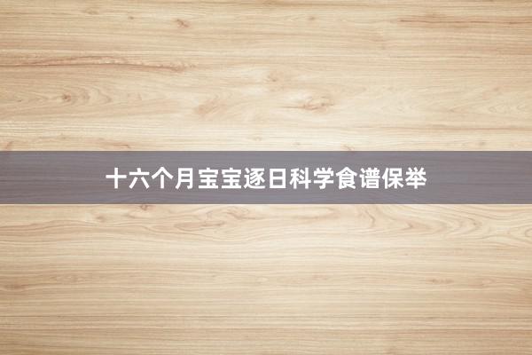 十六个月宝宝逐日科学食谱保举